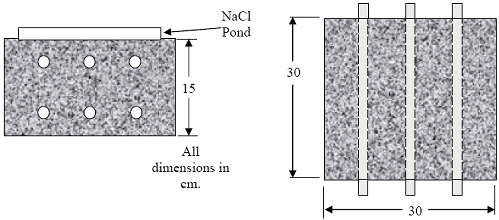 The illustration shows top and side views of this specimen type with reinforcing bars.