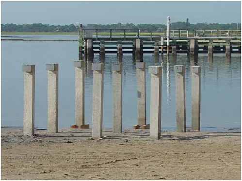 Field column specimens under exposure at the Intracoastal Waterway site in Crescent Beach, Florida.