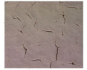 Figure 60. Photo. Surface coating failure by cracking (two-coat system). This photo shows an optical microscopic image of the two-coat system in accelerated laboratory testing magnified 20 times. The surface shows micro-cracks that seem to originate from a central location for each set of cracks and propagate through the surface of the coating.