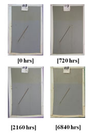 Figure 67. Photo. Rust creepage of HRCSA during ALT. This figure shows a series of photos of high-ratio calcium sulfonate alkyd (HRCSA) at 0, 720, 2,160, and 6,840 h of accelerated laboratory testing (ALT) showing creepage growth with time. CSA developed low initial creepage after 360 h; however, the creepage did not grow much during the entire test period.