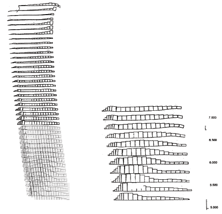 Figure 4.9. Drawings. Axial Force Distribution in Reinforcement for Case 1  (S equals 0.2 meters, lowercase L equals 1.5 meters):  (A) Failure State (lowercase H equals 8.6 meters, ratio of lowercase L to lowercase H equals 0.17); (B) Critical State (lowercase H equals 6.6 meters, ratio of lowercase L to lowercase H equals 0.23). This figure shows the distribution of the axial force along each reinforcement layer present at failure and critical state.