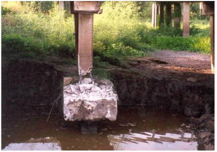 Sheared south pile of bent 2 with ground water seepage. This image shows the sheared south pile/column of bent 2, Trinity River Relief Bridge, at ground level just above the strip footing. Ground water has collected under the strip footing.