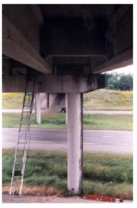 Accelerometers on column and beam cap of west pier, Woodville Road Bridge. This image shows the south column and beam cap of the west pier of the Woodville Road Bridge. A ladder reaches from the ground to the beam cap. The ladder was used to place a seismic accelerometer receiver on the beam cap. Another accelerometer is located at the base of the column.