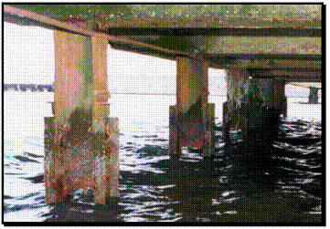 Figure 2. Photo. Complete corrosion of steel H piles supporting a harbor pier parenthesis recently installed retrofit channels are already corroding end parenthesis. This figure is a color photograph of corroding piles in a water environment. The rectangular steel piles that are supporting pier beams show rust and corrosion near the surface of the piles in contact with the water. The figure also shows corrosion of the more recent retrofitted channel bars installed adjacent to the H pilings.