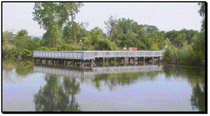 Figure 6. Photo. Floating dock project. This figure is a color photograph of a floating dock consisting of piles. The dock is supported by a large number of tubular fiber-reinforced polymer piles. The pile-supported dock demonstrates one experimental use of fiber-reinforced polymer composite piles.