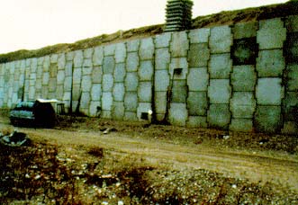 Reinforced soil test wall