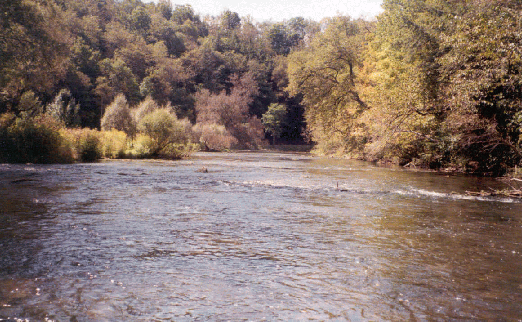 Figure 1. Stable stream in central Pennsylvania. Photo. The stable stream is characterized by healthy, upright, woody vegetation; low banks that are not susceptible to mass wasting (gravity failures); and the flood plain connected to river.