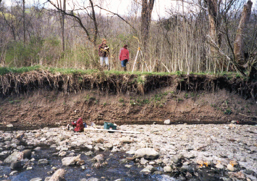 Figure 2. Unstable stream in western Pennsylvania. Photo. This unstable stream is characterized by overheightened, oversteepened banks that are susceptible to mass wasting; evidence of geotechnical failure planes along the banks; and lack of diverse, upright woody vegetation. The flood plain is disconnected from the channel so that moderate-to-high flows remain within the channel banks.