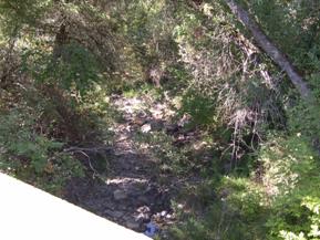 Figure 21. Dry Creek, Pacific Coastal-upstream from bridge. Photo. This is Dry Creek in the Pacific Coastal region looking upstream from the bridge. The banks are heavily vegetated and the bed material is very rocky. 