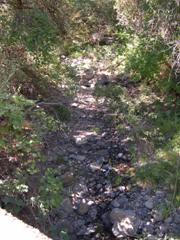 Figure 24. Dry Creek, Pacific Coastal-upstream under bridge, photo 2. This is looking upstream. The photo shows a cascading bed and boulder-filled bed material.