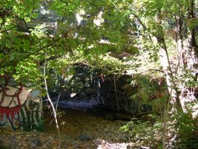 Figure 26. Dutch Bill Creek, Pacific Coastal-downstream at bridge. Photo. This is looking downstream at the bridge. The channel thalweg is against the right abutment.