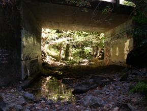 Figure 28. Dutch Bill Creek, Pacific Coastal-upstream through bridge. Photo. This is looking upstream through the bridge. The thalweg is up against the right abutment.