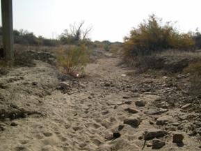 Figure 32. Buena Vista Creek, Pacific Coastal-upstream from under bridge. Photo. This is looking upstream. This photo also shows the dry, sandy bed.