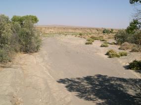 Figure 33. Jacalitos Creek, Pacific Coastal-downstream from bridge. Photo. This is Jacalitos Creek in the Pacific Coastal region looking downstream from the bridge. A dry, sandy bed is shown.