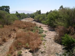 Figure 37. Murietta Creek, Pacific Coastal-downstream from bridge. Photo. This is Murietta Creek in the Pacific Coastal region looking downstream from the bridge. The bed material is sandy and the bank vegetation is small, woody shrubs and trees.