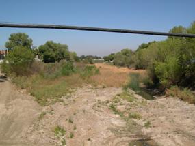 Figure 38. Murietta Creek, Pacific Coastal-upstream from bridge. Photo. This is looking upstream from the bridge. The photo shows that the channel is wide relative to its depth.