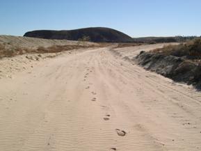 Figure 42. Mojave River, Basin and Range-upstream from bridge, photo 2. Photo. As in figure 41, this photo looks upstream from the bridge. It shows footprints that are made easily in the fine sand. The channel is very wide relative to the depth; however, some channelization is obvious, creating a narrower, deeper channel. 