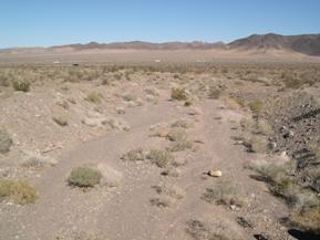 Figure 46. Rt. 66 Wash, Basin and Range-downstream from bridge. Photo. This photo looks downstream from the bridge and shows the poorly defined channel. The channel is very wide relative to the depth. 