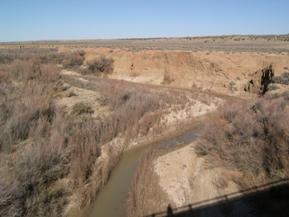 Figure 54. Rio Puerco, Trans Pecos-upstream from bridge. Photo. This is looking upstream from the bridge. The photo shows the vertical wall along left bank.