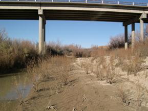 Figure 55. Rio Puerco, Trans Pecos-looking upstream at bridge. Photo. This is looking upstream at the bridge. The photo shows desert shrubs and sand in the bed in front of and under the bridge.