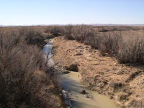 Figure 57. Rio San Jose, Trans Pecos-upstream from bridge. Photo. This is the Rio San Jose in the Trans Pecos region looking upstream from the bridge. The bed material is sand, and the bank vegetation is desert shrubs. The photo shows a straightened, narrowed channel.