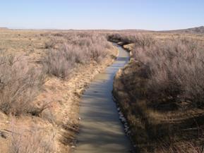 Figure 58. Rio San Jose, Trans Pecos-downstream from bridge. Photo. This is looking downstream from the bridge. Like figure 57, this photo shows a straightened, narrowed channel.