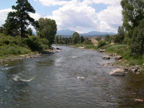 Figure 62. Arkansas River, Rocky Mountains-upstream from bridge. Photo. This is looking upstream from the bridge. The channel is relatively wide and shallow.