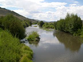 Figure 65. Cochetopa Creek, Rocky Mountains-downstream from bridge. Photo. This is the Cochetopa River in the southern Rocky Mountain region looking downstream from the bridge. Bank vegetation is primarily shrubs. 