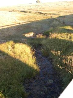 Figure 69. North Rush Creek, Great Plains-upstream from bridge. Photo. This is looking upstream from the bridge. 