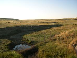 Figure 70. North Rush Creek, Great Plains-downstream from bridge. Photo. This is looking downstream from the bridge. The photo shows high vertical bank walls on the left bank. 