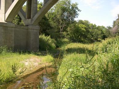 Figure 71. Saline River, Great Plains-upstream under bridge. Photo. This is the Saline River in the Great Plains region looking upstream under the bridge. Bank vegetation is grass in the first river width, but thick and largely woody beyond that.