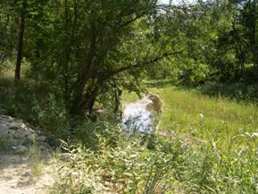 Figure 72. Saline River, Great Plains-downstream from bridge. Photo. This is looking downstream from the bridge.