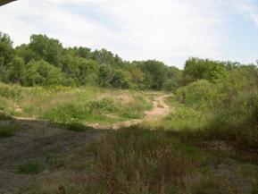 Figure 77. South Fork Solomon River, Great Plains-downstream. Photo. This is looking downstream from the bridge. The photo shows the grasses and woody vegetation.