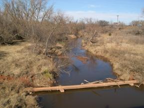 Figure 80. West Elk Creek, Central Plains-upstream from bridge. Photo. This is looking upstream of the bridge. Woody vegetation is shown on the right bank further upstream.