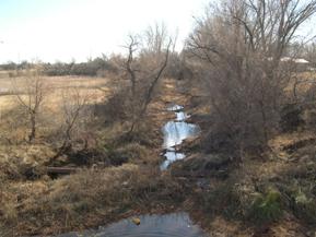 Figure 81. West Elk Creek, Central Plains-downstream from bridge. Photo. This is looking downstream from the bridge. A single row of riparian trees is shown.