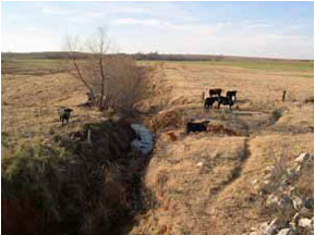 Figure 82. Beaver Creek, Central Plains-upstream from bridge. Photo. This is the Beaver Creek in the Central Plains region looking upstream from the bridge. Bank vegetation consists of grasses and annuals. Cows clearly have free access to the stream, causing considerable damage of the banks. The photo shows that the stream is both degrading and widening. 