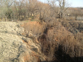 Figure 83. Beaver Creek, Central Plains-downstream from bridge. Photo. This is looking downstream from the bridge. Limited cattle access and riparian woody vegetation have limited the degradation in this part of the stream. 