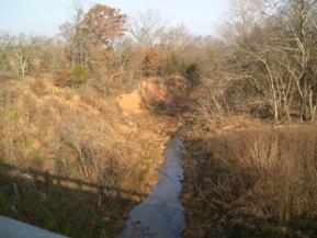 Figure 90. Unnamed creek (N 19), Central Plains-upstream from bridge. Photo. This is looking upstream from the bridge. The photo shows a high, fragile bank wall on the right bank.