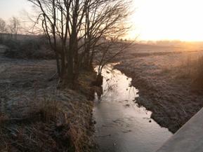 Figure 93. East Fork, Interior Low Plateau-upstream from bridge. Photo. This is East Fork in the Interior Low Plateau region looking upstream from the bridge. Bank vegetation is grasses, and the bank width is irregular due to lack of erosion resistance. 