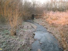 Figure 94. East Fork, Interior Low Plateau-looking downstream at second bridge. Photo. This is looking downstream from the bridge toward a second bridge. The bank width is again irregular. 