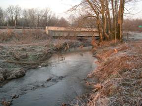 Figure 96. East Fork, Interior Low Plateau-looking downstream at bridge. Photo. This is looking downstream at the bridge.