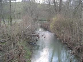 Figure 101. Unnamed creek (N 28), Interior Low Plateau-upstream from bridge. Photo. This is unnamed creek N 28 in the Interior Low Plateau region looking upstream from the bridge. Bank vegetation is a narrow row of dense shrubs on both banks. 