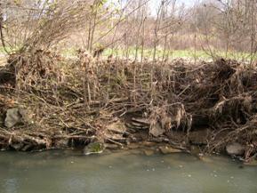 Figure 104. Unnamed creek (N 28), Interior Low Plateau-rocky bank material. Photo. This is looking at the right bank on the upstream side of the bridge. The photo shows rocky bank material.