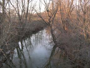 Figure 105. South Fork, Interior Low Plateau-downstream from bridge. Photo. This is South Fork in the Interior Low Plateau region looking downstream from the bridge. Bank vegetation consists of dense shrubs and trees on both banks.