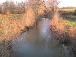 Figure 106. South Fork, Interior Low Plateau-upstream from bridge. Photo. This is looking upstream from the bridge. Vegetation is limited to a narrow band along each bank.