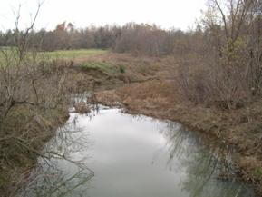 Figure 109. Little Skin Creek, Ozark-Ouachita Highlands-downstream from bridge. Photo. This is Little Skin Creek in the Ozark-Ouachita Highlands region looking downstream from the bridge. The channel narrows considerably downstream, and much of the vegetation on the left bank has been removed. 