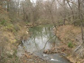 Figure 110. Little Skin Creek, Ozark-Ouachita Highlands-upstream from bridge. Photo. This is looking upstream from the bridge. Vegetation is fairly thick, but many small trees are leaning into the stream.