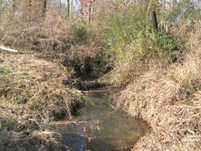 Figure 114. Unnamed creek (N 21), Ozark-Ouachita Highlands-upstream from bridge. Photo. This is looking upstream from the bridge. Vegetation is fairly thick, but the channel has an irregular width.