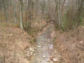 Figure 117. Little Cypress Creek, Atlantic Coastal Plain-downstream from bridge. Photo. This is Little Cypress Creek in the Atlantic Coastal Plain region looking downstream from the bridge. The channel is narrow, deep, and slightly entrenched. 