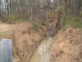 Figure 118. Little Cypress Creek, Atlantic Coastal Plain-upstream from bridge. Photo. This is looking upstream from the bridge. The channel is narrow and deep, and bank vegetation is primarily moderately dense trees and annuals.